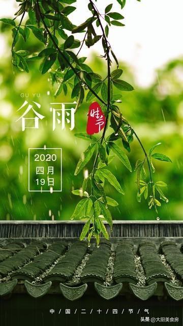 谷雨=春天最后的蹦迪