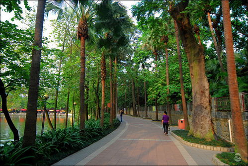 2. 樟树湾大酒店温泉？