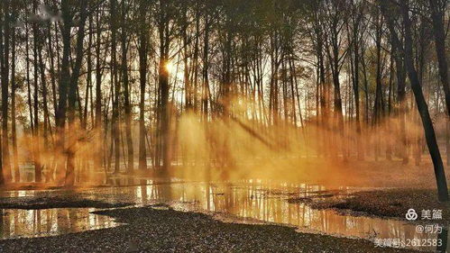 深秋落叶的谶语