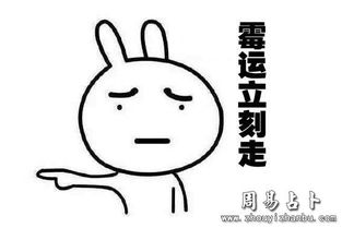 JK啊哈财运提升秘诀揭秘