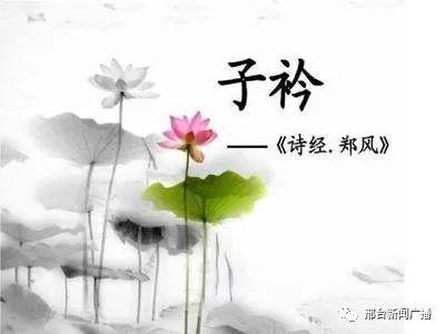 2026年黄历警告！这些诗经名字绝对不能乱取