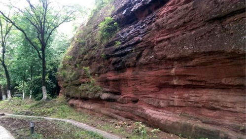 坟头冒青烟是真的吗？