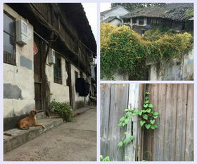 第一章：探秘沈蕩——千年渔村与千年塩場
