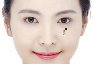 午马的自由奔放