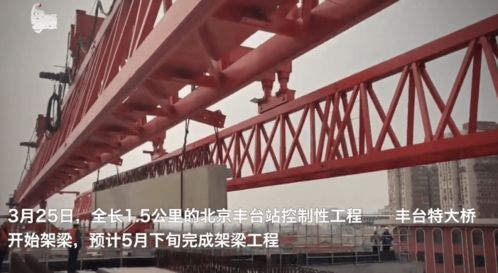 架梁的生肖年与顶代表的生肖分别是什么？
