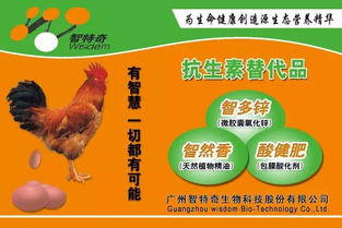 温氏龙宝宝取名：怎样判断名字良好不良好？