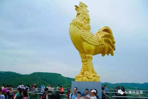 情感冲击：我在金鸡岩哭了两次 😭😭