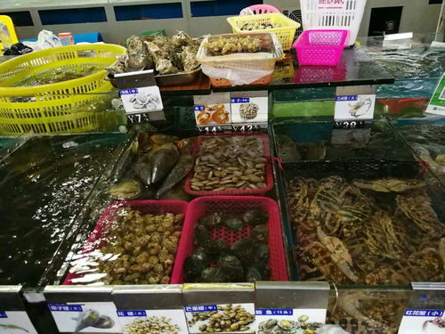 第一一部分：怎样前往海瑞故居？交通运输攻略较大解析