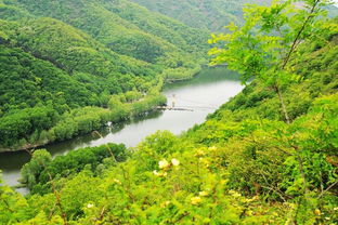 1.1 蓝田县——清峪的林场+倒沟的“灞河”混搭套餐