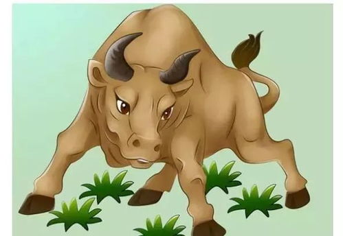 属龙和属狗女生婚姻中，如何修复与属狗的孽缘关系？