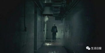 真实相的碎片与国学智慧