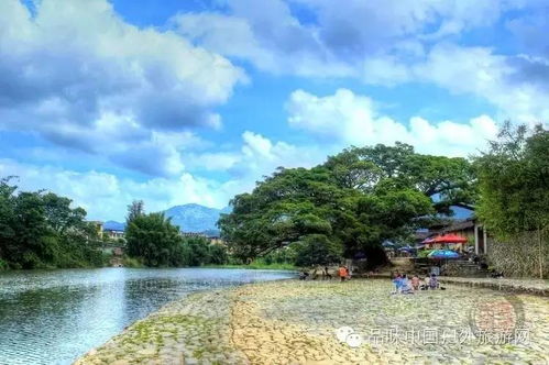 美食之旅：品尝地道保定味道