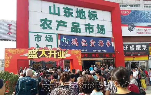 商业活动开发：打造时尚购物中心