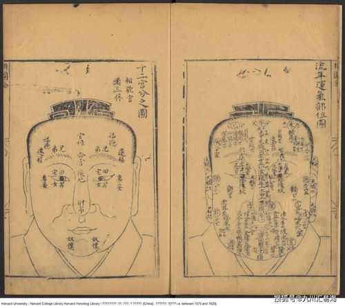 麻衣神相：看完直接裂开！2026年运势大揭秘