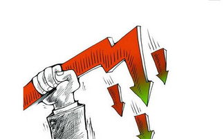 日德格与结婚：昂市场价格较高人相助，  喜事连连