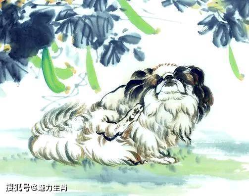 救命稻草！这些生肖是你的真命天子