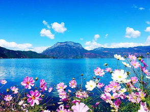 美食推荐：烤鱼、猪膘肉