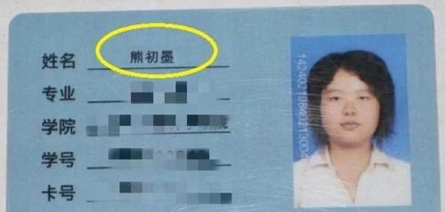 序言：给李姓女孩起名的艺术与科学
