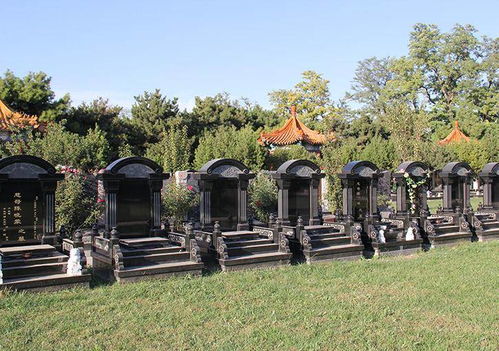 1）祭奠区：哭泣与自拍并存