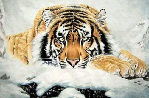 如虎添翼的生肖虎招财转运物件是什么？