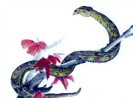 身体健康状况运势