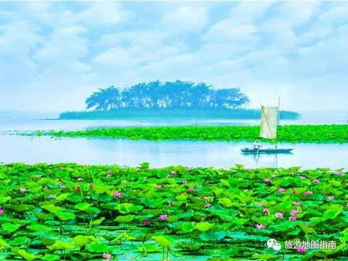 微山湖风景区：摄影师们最爱的地方
