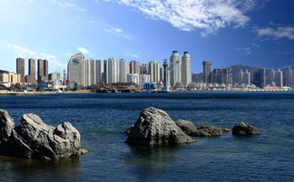 大连青岛瞎逛指南：2026年海边城市要变天？啤酒和浪漫都要靠边站！