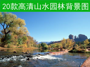 4.2 实体广告狂投：