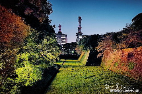 石门山和大观山：云雾缭绕的仙境