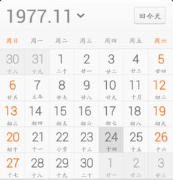 2024年运势大揭秘