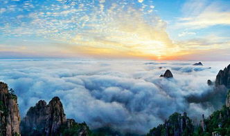 这门票到底咋抢啊？