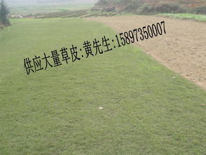 旅游活动？全是坑！