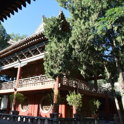 文庙：当代科举制度受害者疗养院