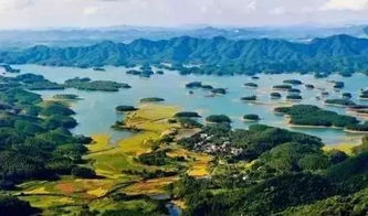 四、 惠州旅游产业链中的“大饼”与“小饼”——房价与投资泡沫?