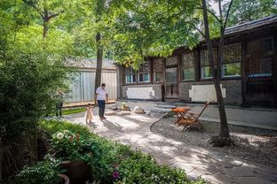 住宿奇谈：睡得好算我输