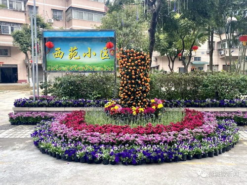 基础技巧分享
