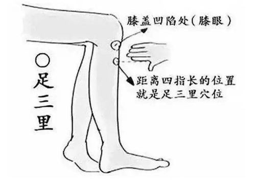 八字日柱伤官格男命，日柱坐伤官的八字图解是怎样的？