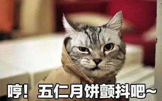 那些让人笑掉大牙的禁忌