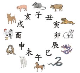 2021年羊生肖年龄对照表如何计算具体年龄？