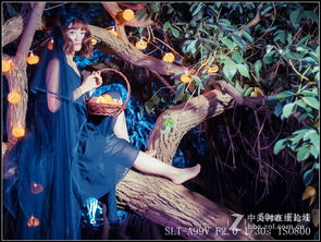 森林深厚处的暗地