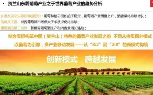 第五章：资金管理—预算分配细则 & 风险因素控制策略