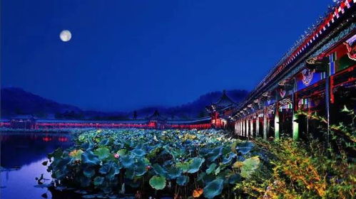 东方文化底蕴园游玩攻略