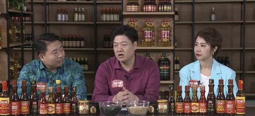 探秘《定西游》的韵味