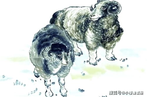 2026年属羊运势财运如何？属马本命年佩戴的吉祥物有何寓意？