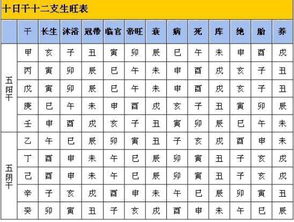 堪八字旺衰月令占多少分,八字怎样堪月令旺不旺