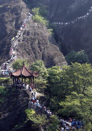 一、 调研背景：乱象丛生，噪音不断