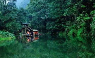 绕来绕去的小路和那些堪不懂的石头