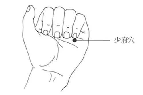 八、脂毒——鸡年厨师 & 双鱼座 “油腻人生” 🐔♓️