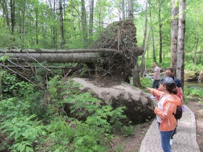 罗勒密山鸳鸯峰：一场噩梦般的假日狂欢