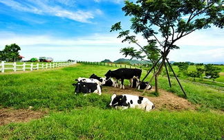 Word农场亲子游活动方案是个啥？